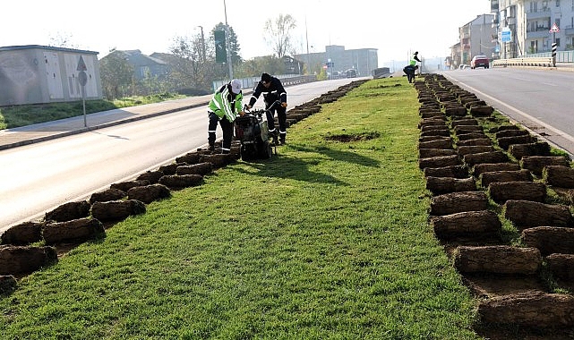 Kartepe Tramvayı İçin Ağaçlar Geçici Bakımda
