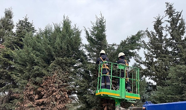 Kartepe Belediyesi'nden Yeşil Alanlara Önemli Bakım