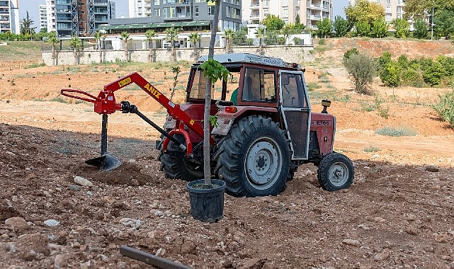 Yenişehir'de Ağaçlandırma ile İklim Direnci Artacak